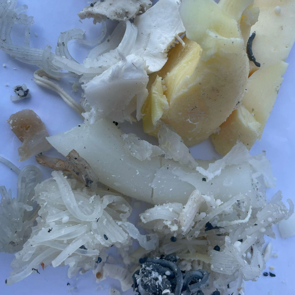 macinazione e triturazione plastica